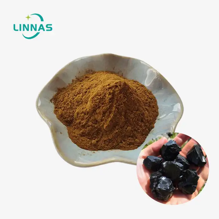 Shilajit Extract Powder